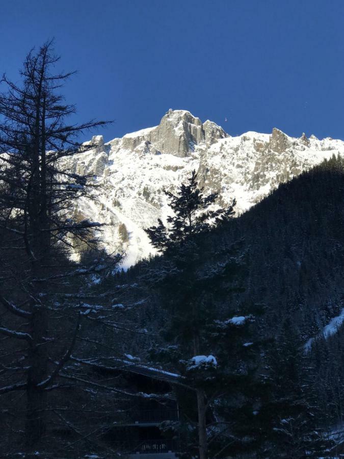 Brevent - Meleze Apartment Chamonix Bagian luar foto
