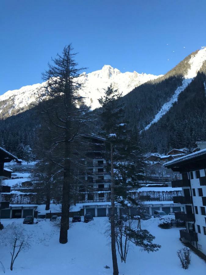 Brevent - Meleze Apartment Chamonix Bagian luar foto