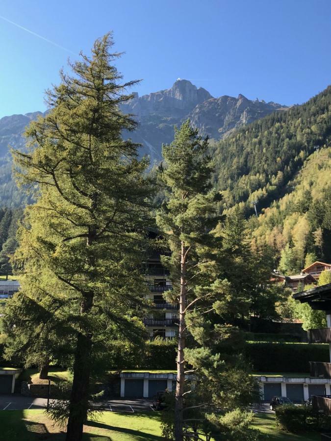 Brevent - Meleze Apartment Chamonix Bagian luar foto